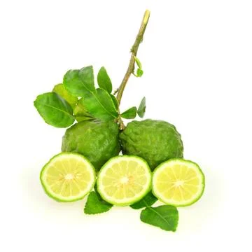 Kaffir lime slice on white background Stock Photos