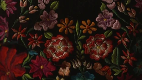 Kahlo footage Stock Footage 81044230