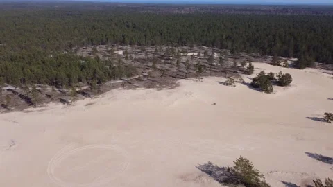 Kaibaldi desert in Estonia Stock Footage 153197995