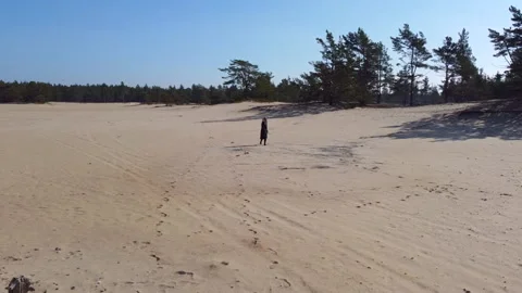 Kaibaldi desert walk Stock Footage 153198934