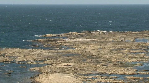 Kaikoura Stock Footage