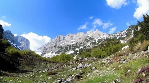 Kaiser Stock Footage 108682049