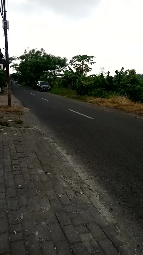 Kajeksan Tulangan Sidoarjo East Java Indonesia Stock Footage 220319798