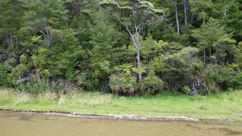 Kakamatua Waitakere views Stock Footage 100815756