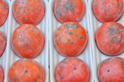 Kaki fruit Stock Photos