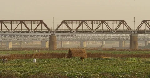 Kakri (Indian Cucumber), and Ghiya (Bottle Gourd) farmers work with the Taj Stock Footage 72988341