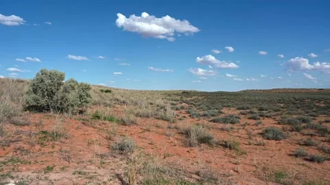 Kalahari Desert Video stock 132767800