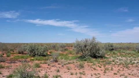 Kalahari Desert Vídeos de archivo 132902812