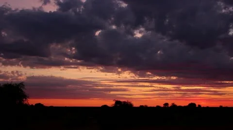 Kalahari pan shot Stock Footage 12663474