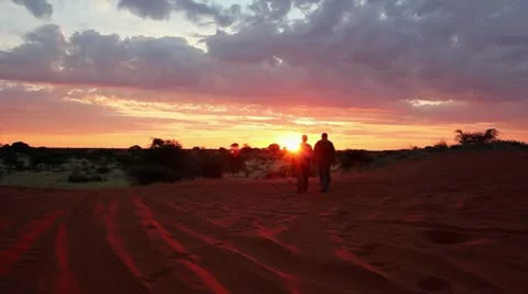 Kalahari sundown Stock Footage 12663422