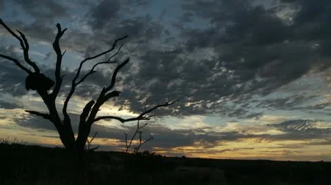 Kalahari Timelapse2 Stock Footage