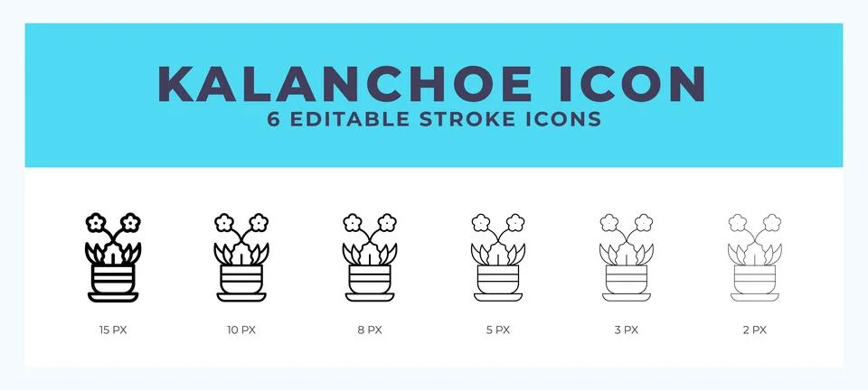 Kalanchoe icon. Regular line. Thin line. Bold line. Vector illustration. Stock Illustration