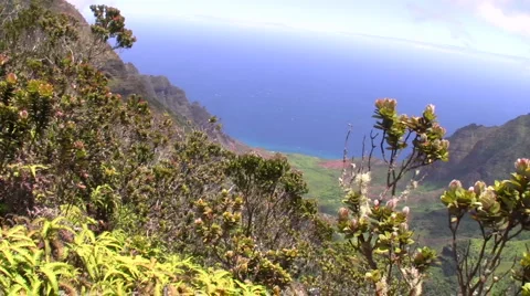 Kalaulau Valley Stock Footage 6526004