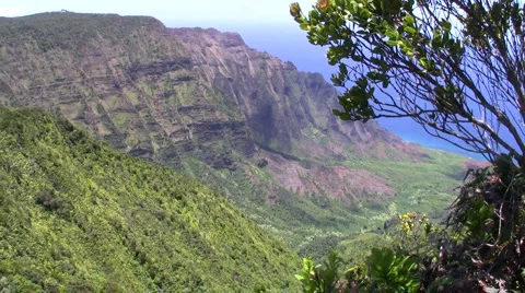 Kalaulau Valley Stock Footage 6526379