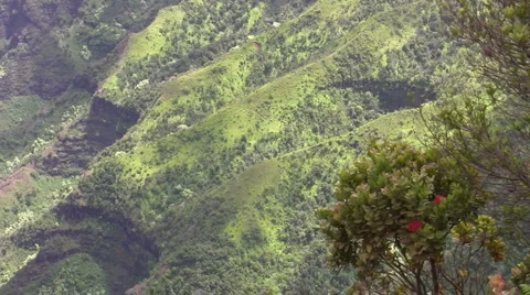 Kalaulau Valley Pan Stock Footage 6526445