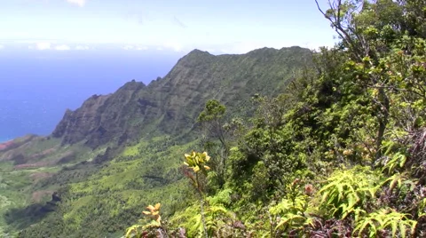 Kalaulau Valley Pan Stock Footage 6527095