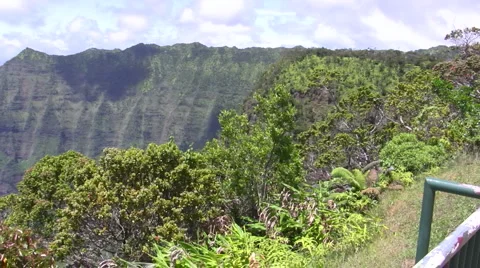 Kalaulau Valley Pan Stock Footage 6530346