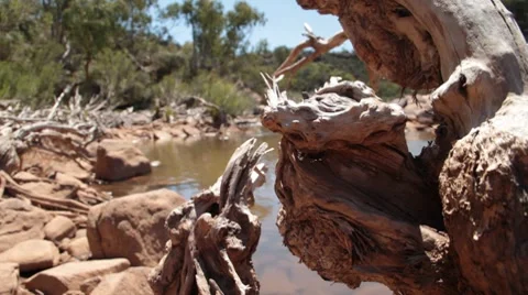 Kalbarri, Murchison River Stock Footage 8775995