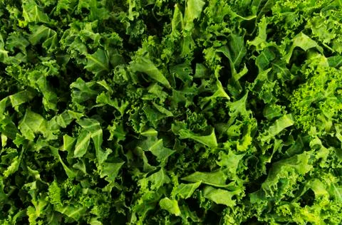 Kale Background Foto stock