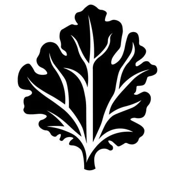 Kale black vector icon on white background Stock Illustration