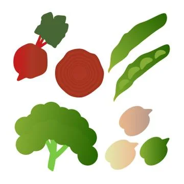 Kale, broad beans, beets,  isolated on white background. Editable and design Stock Illustration