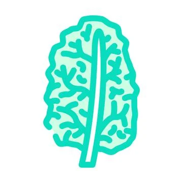 Kale cabbage color icon vector illustration Ilustración de archivo
