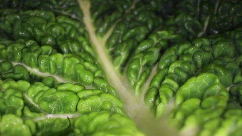 Kale cole leaf closeup texture video on rolling rotating looping plate Stock Footage 104336316