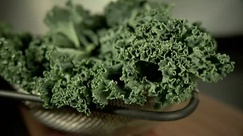 Kale 스톡 동영상 376370