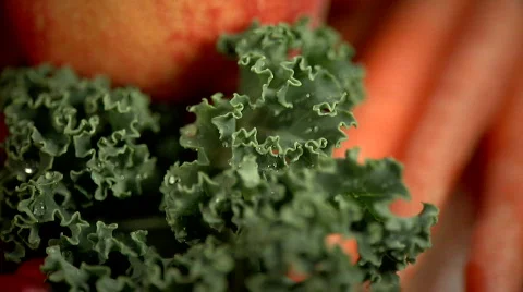 Kale 스톡 동영상 376491