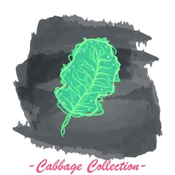 Kale leaf vector isolated cabbage on a grunge background Stock Illustration