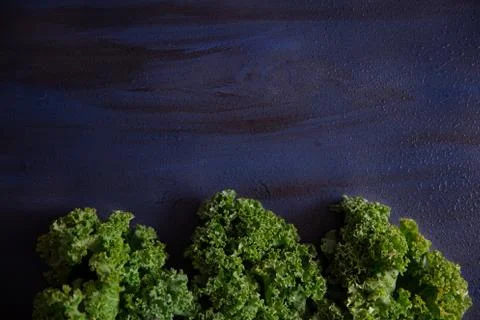 Kale leafs on a wet blue surface. Foto stock