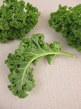 Kale leaves Stock-Fotos