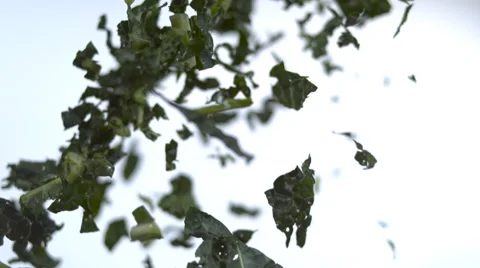 Kale lifting up and falling in slow motion down out of frame Stock Footage 64726254