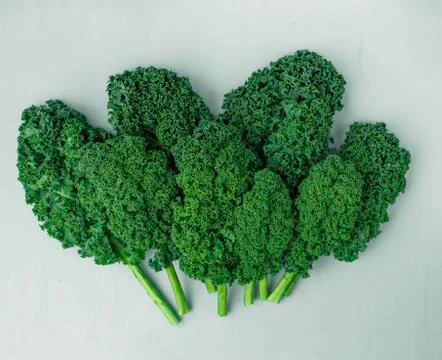 Kale pattern on a white background, top view, flat lay Stock Photos