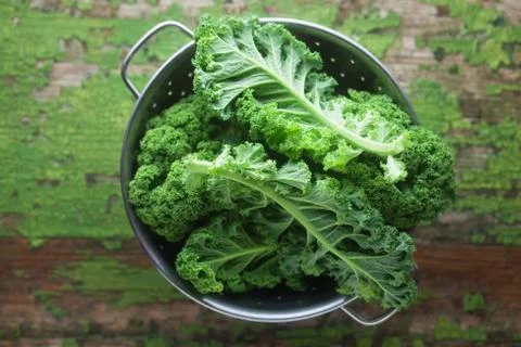 Kale Stock Photos