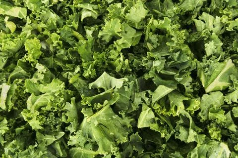 Kale Vegetable Background Foto stock