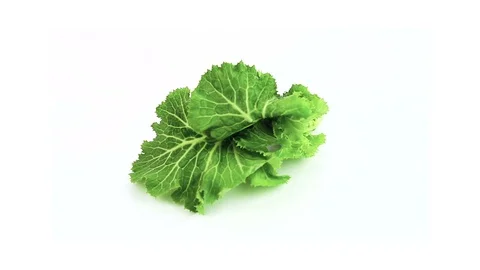 Kale vegetable Stock Footage 86583198