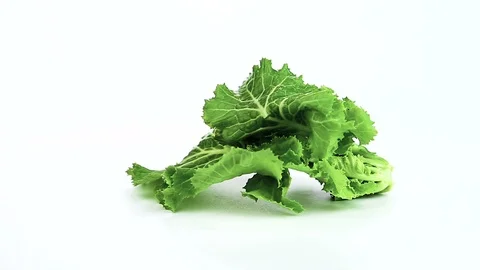 Kale vegetable 動画素材 86584989
