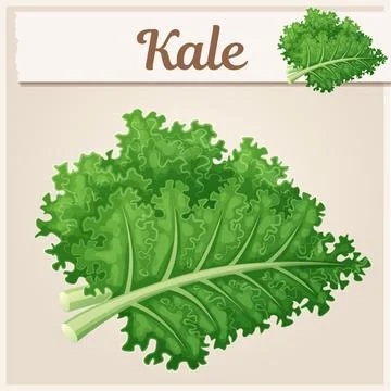 Kale vegetable icon. Cartoon vector illustration Stock Illustration