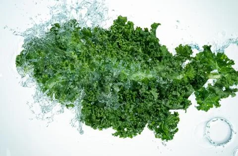 Kale Water Splash Stock Photos