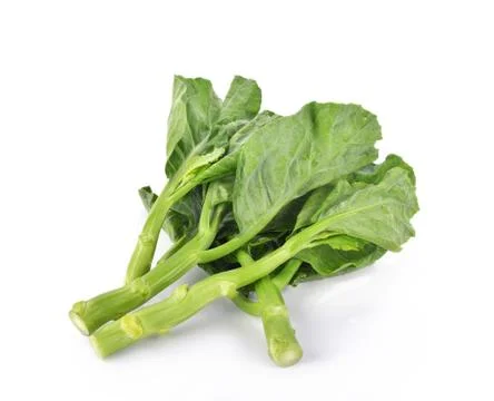 Kale on white background Foto stock