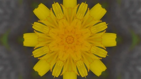 Kaleida abstract background 4K sequence patterns Stock-Footage 99360755