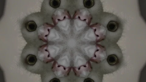 Kaleida abstract background 4K sequence patterns Stock-Footage 99361227