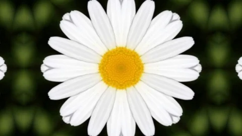 Kaleida abstract background 4K sequence patterns Stock-Footage 99464756