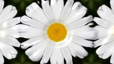 Kaleida abstract background 4K sequence patterns Stock-Footage 99464766