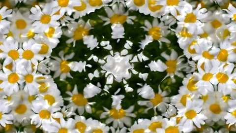 Kaleida abstract background 4K sequence patterns Stock-Footage 99507955