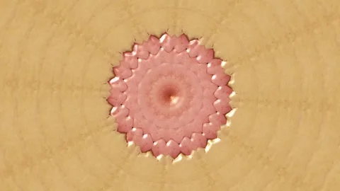 Kaleidoscope 10 Stock Footage 273692524
