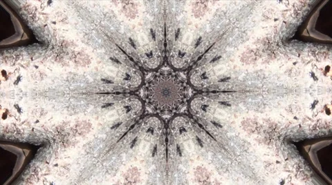 Kaleidoscope of Ants Stock Footage 33783658