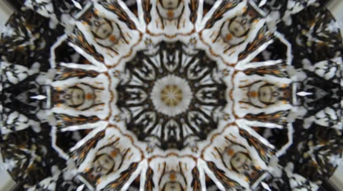 Kaleidoscope background earth colors loop 스톡 동영상 37805901