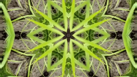 Kaleidoscope background. Hypnotic motion. Stock Footage 218585757
